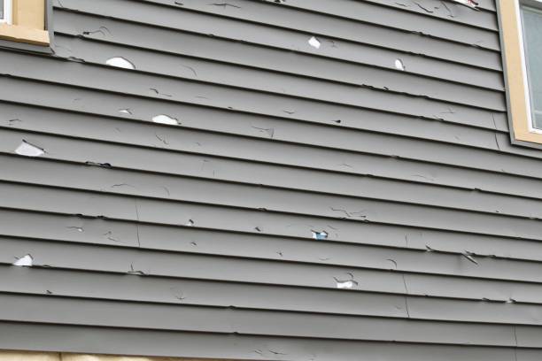 Best Residential Vinyl Siding Installation  in Shelby, OH