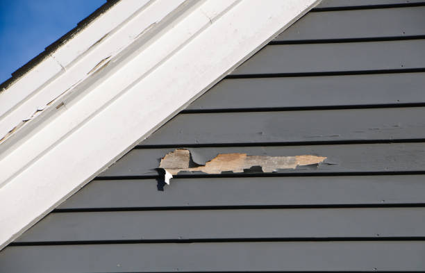 Best Fascia and Soffit Installation  in Shelby, OH